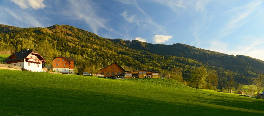Vila Huettstaedterhof Familie Poetsch Aigen im Ennstal Exteriér fotografie