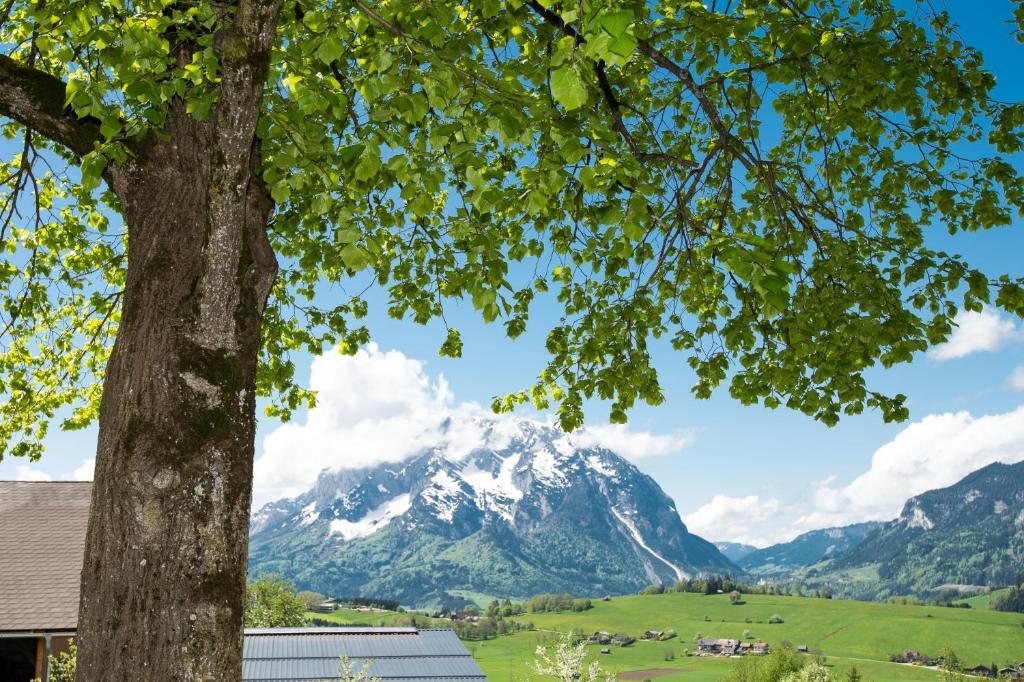 Vila Huettstaedterhof Familie Poetsch Aigen im Ennstal Exteriér fotografie