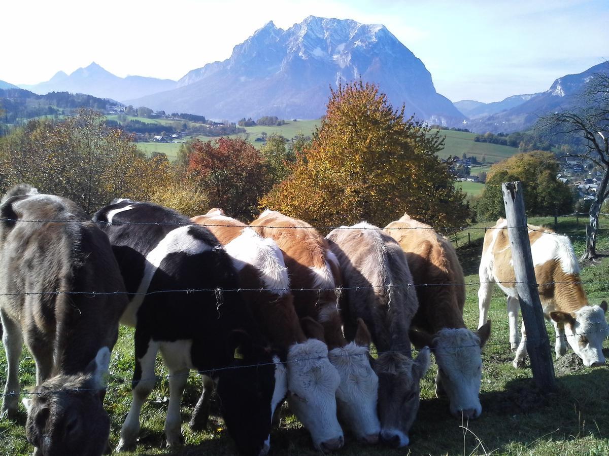 Vila Huettstaedterhof Familie Poetsch Aigen im Ennstal Exteriér fotografie