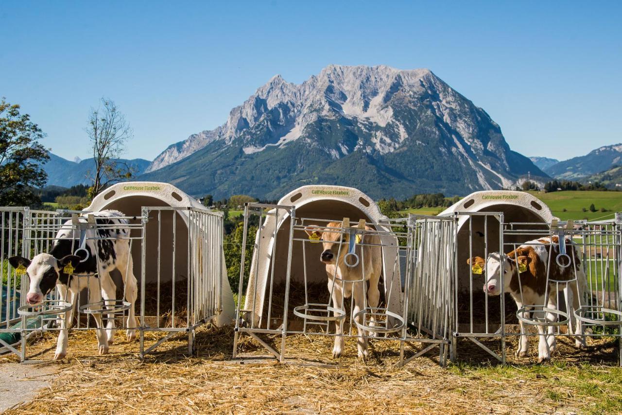 Vila Huettstaedterhof Familie Poetsch Aigen im Ennstal Exteriér fotografie