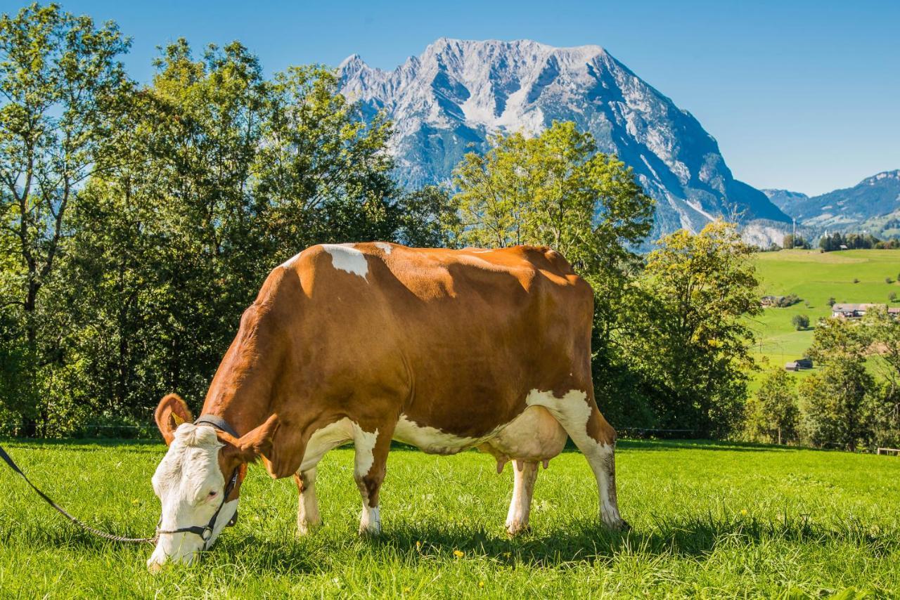 Vila Huettstaedterhof Familie Poetsch Aigen im Ennstal Exteriér fotografie