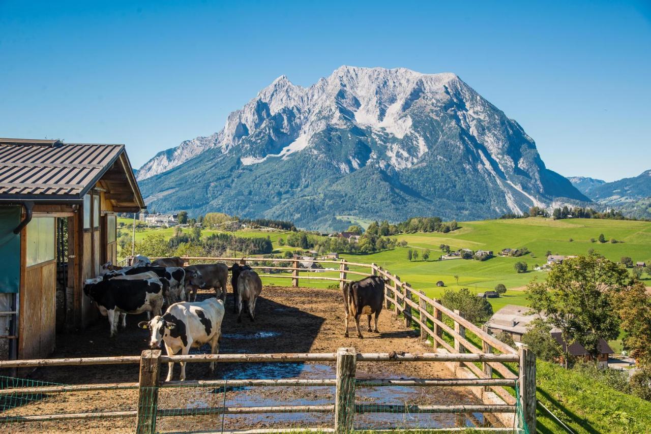 Vila Huettstaedterhof Familie Poetsch Aigen im Ennstal Exteriér fotografie