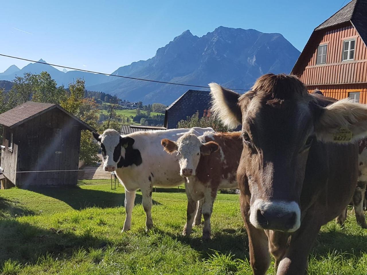 Vila Huettstaedterhof Familie Poetsch Aigen im Ennstal Exteriér fotografie