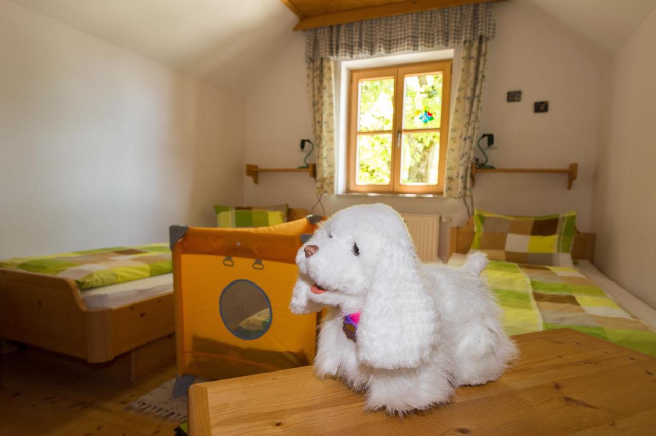 Vila Huettstaedterhof Familie Poetsch Aigen im Ennstal Pokoj fotografie