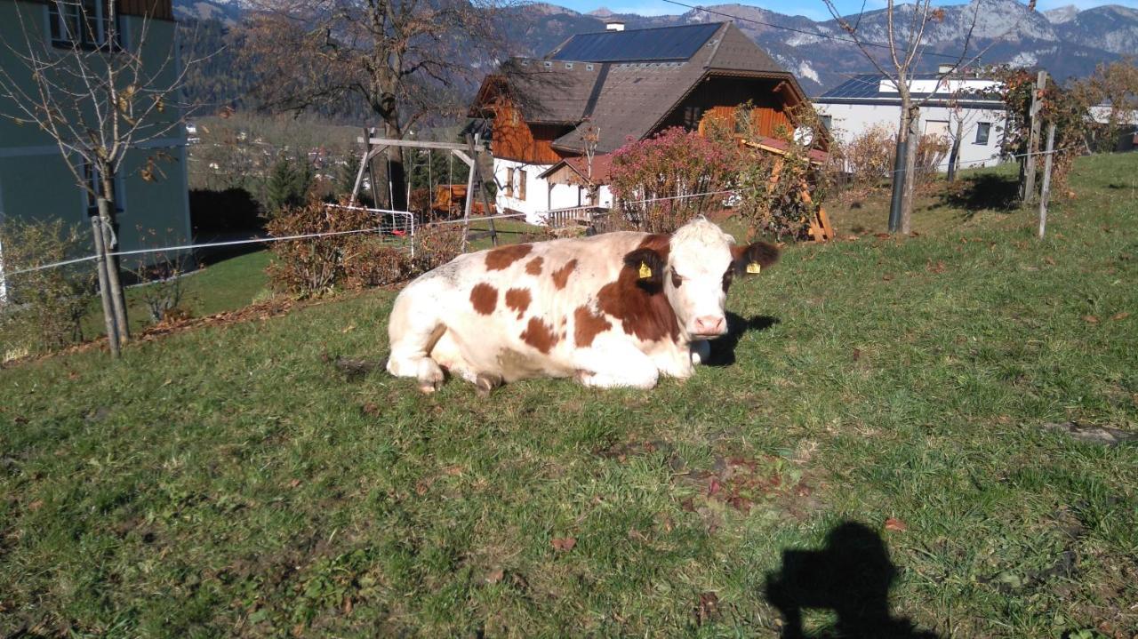 Vila Huettstaedterhof Familie Poetsch Aigen im Ennstal Exteriér fotografie