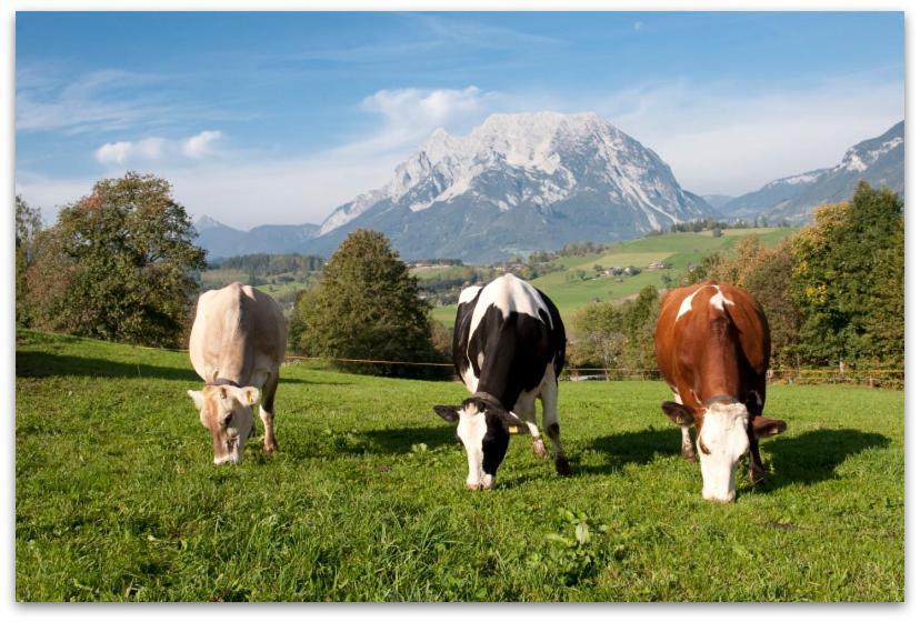 Vila Huettstaedterhof Familie Poetsch Aigen im Ennstal Exteriér fotografie